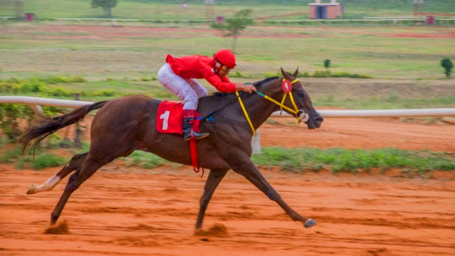 Galardón